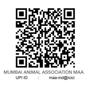 Mumbai Animal Association